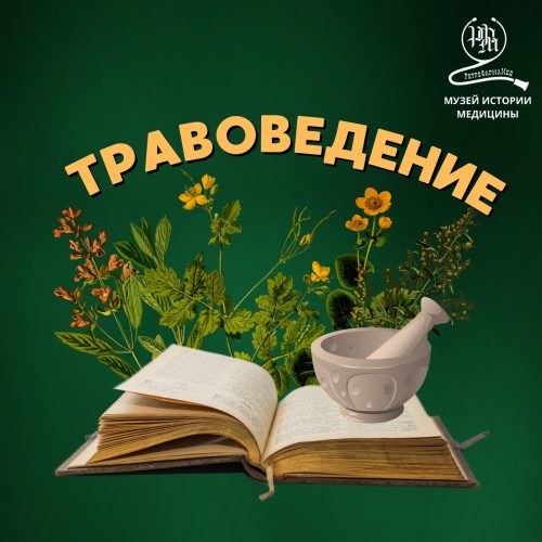 Музейное занятие «Травоведение», фото 1 из 4